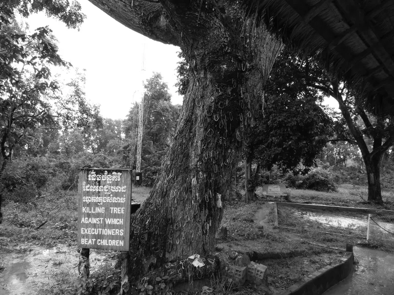 The Killing Tree, Choeung Ek (A Killing Field) near Phnom Penh, Cambodia